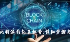 如何更换比特派钱包手机号：详细步骤