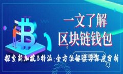 探索新加坡B特派：全方位解读与深度