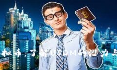 : USDM虚拟币：了解USDM的潜力与投资机