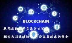 天硕区块链平台是什么公司探索天硕区