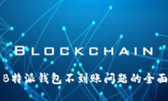 解决B特派钱包不到账问题的全面指南
