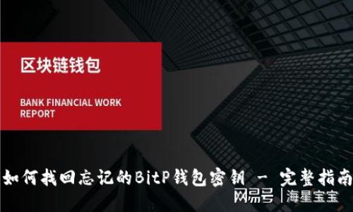 如何找回忘记的BitP钱包密钥 - 完整指南