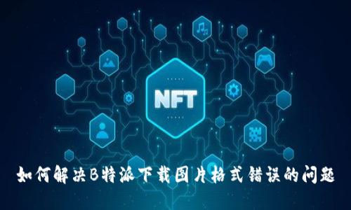 如何解决B特派下载图片格式错误的问题