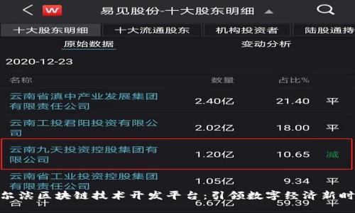 哈尔滨区块链技术开发平台:引领数字经济新时代