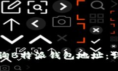 如何查询B特派钱包地址：详尽指南