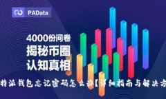 比特派钱包忘记密码怎么办？详细指南与解决方