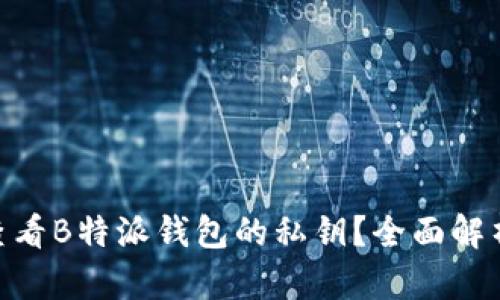 riaoti如何查看B特派钱包的私钥?全面解析与操作指南