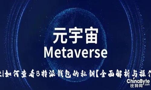 riaoti如何查看B特派钱包的私钥?全面解析与操作指南