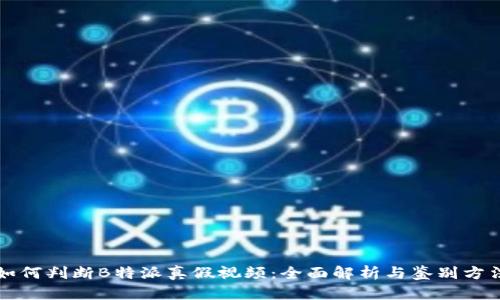 如何判断B特派真假视频:全面解析与鉴别方法