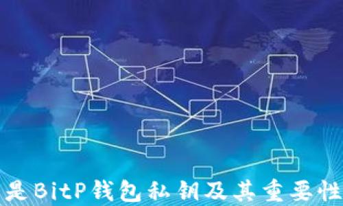 什么是BitP钱包私钥及其重要性详解