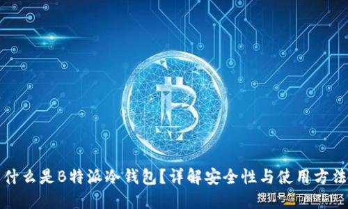 什么是B特派冷钱包?详解安全性与使用方法