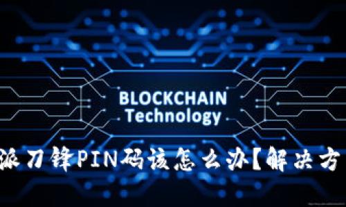 忘记B特派刀锋PIN码该怎么办?解决方法与建议
