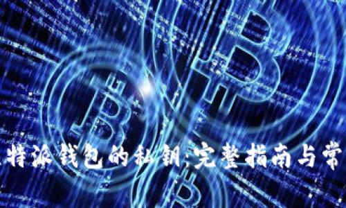 如何查找比特派钱包的私钥:完整指南与常见问题解答