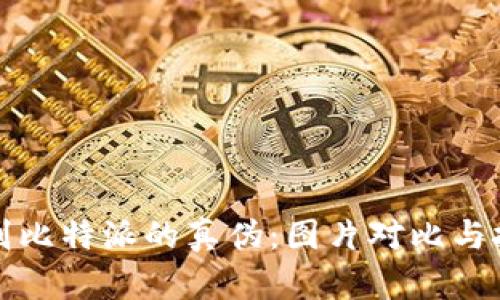 如何辨别比特派的真伪:图片对比与技巧指南