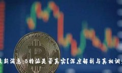 最新消息：B特派是否真实？深度解析