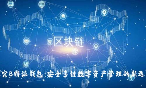 探究B特派钱包:安全多链数字资产管理的新选择