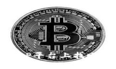 如何在BitP平台上找回密码指南