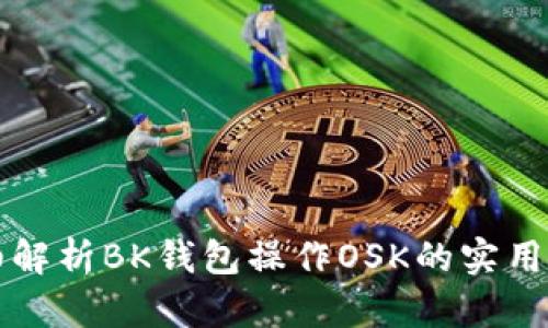 详细解析BK钱包操作OSK的实用教程