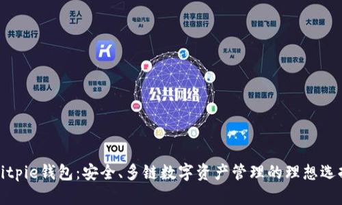 Bitpie钱包:安全、多链数字资产管理的理想选择