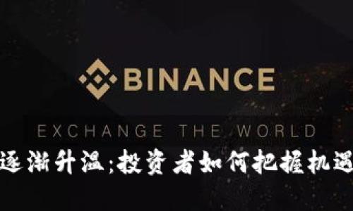 虚拟币逐渐升温：投资者如何把握机遇与风险