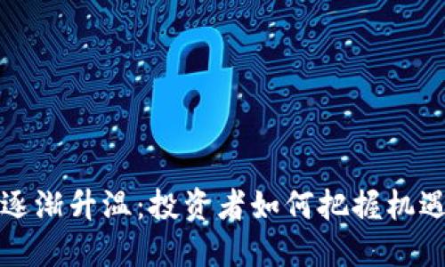 虚拟币逐渐升温：投资者如何把握机遇与风险
