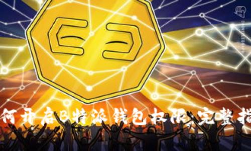 如何开启B特派钱包权限:完整指南