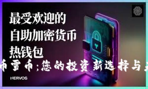 虚拟货币雪币：您的投资新选择与未来展望