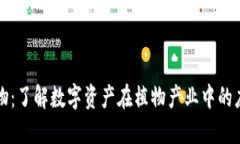 虚拟币植物：了解数字资产在植物产业