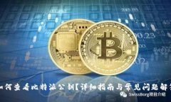 如何查看比特派公钥？详细指南与常见
