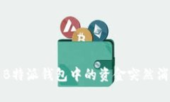 如何解决B特派钱包中的资金突然消失的问题