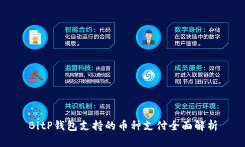 BitP钱包支持的币种支付全面解析