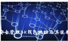如何安全管理BK钱包地址及其使用指南