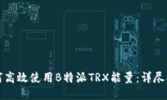 如何高效使用B特派TRX能量：详尽指南