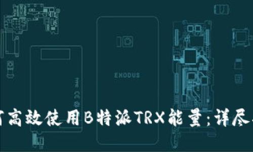 如何高效使用B特派TRX能量:详尽指南