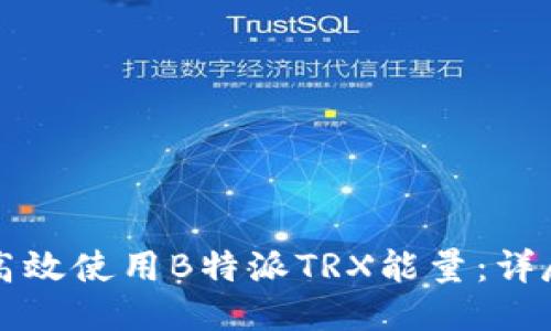如何高效使用B特派TRX能量:详尽指南