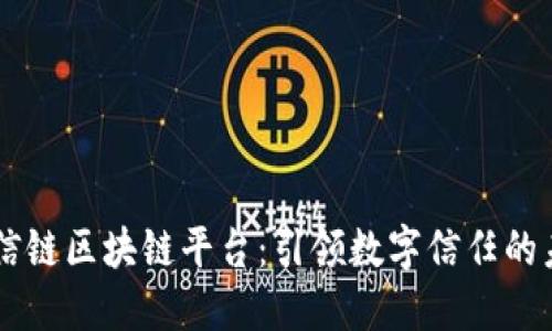至信链区块链平台：引领数字信任的未来