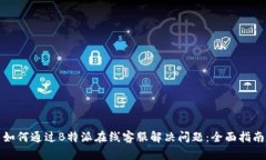 如何通过B特派在线客服解决问题：全