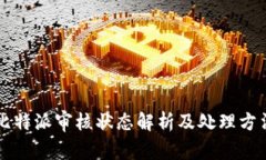 比特派审核状态解析及处理方法