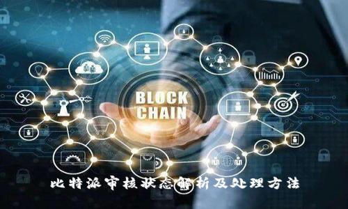 比特派审核状态解析及处理方法