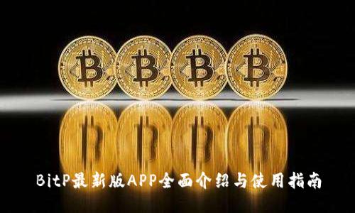 BitP最新版APP全面介绍与使用指南