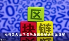 比特派无法下载的原因及解决方法详解