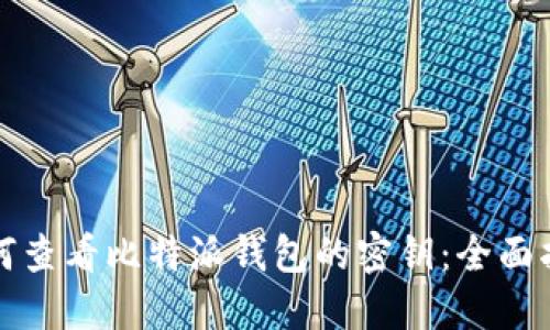如何查看比特派钱包的密钥:全面指南