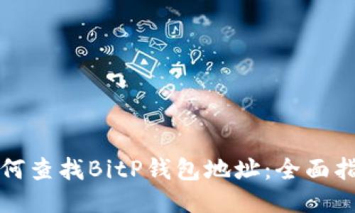 如何查找BitP钱包地址：全面指南