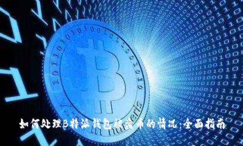 如何处理B特派钱包被盗币的情况:全面指南