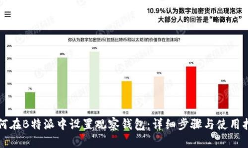 如何在B特派中设置观察钱包:详细步骤与使用指南