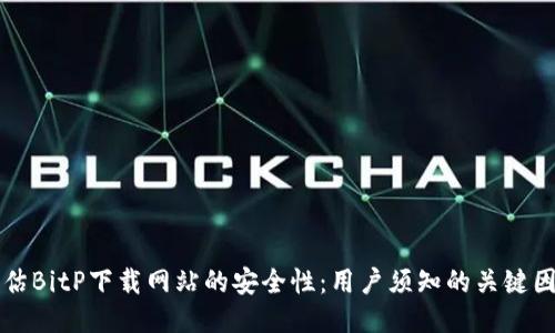 评估BitP下载网站的安全性:用户须知的关键因素