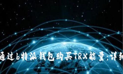 如何通过b特派钱包购买TRX能量:详细指南