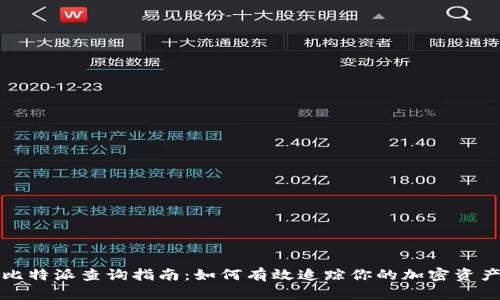 比特派查询指南:如何有效追踪你的加密资产