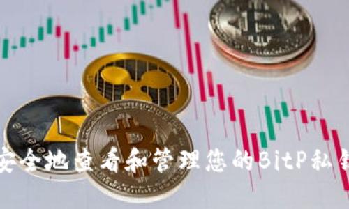 如何安全地查看和管理您的BitP私钥密码