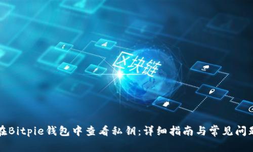 如何在Bitpie钱包中查看私钥:详细指南与常见问题解答
